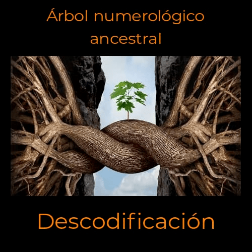 Árbol numerólogico ancestral